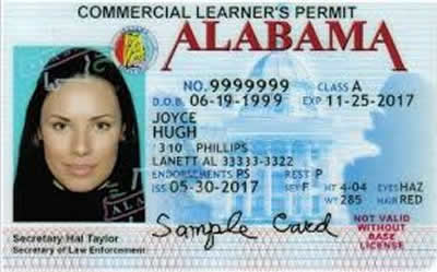 Image of Alabama's Driver's License