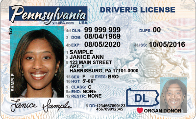 Image of Pennsylvania's Driver's License